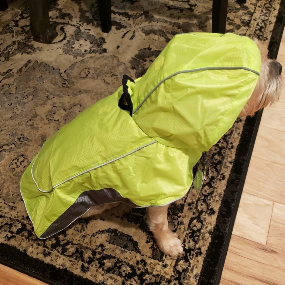 ❤️😍 Host Pick! 🐕❤️  Rain Jacket With Reflective Accents L - Picture 4 of 12